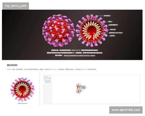 科技赋能业余赛事：AI如何缩小职业与群众网球差距